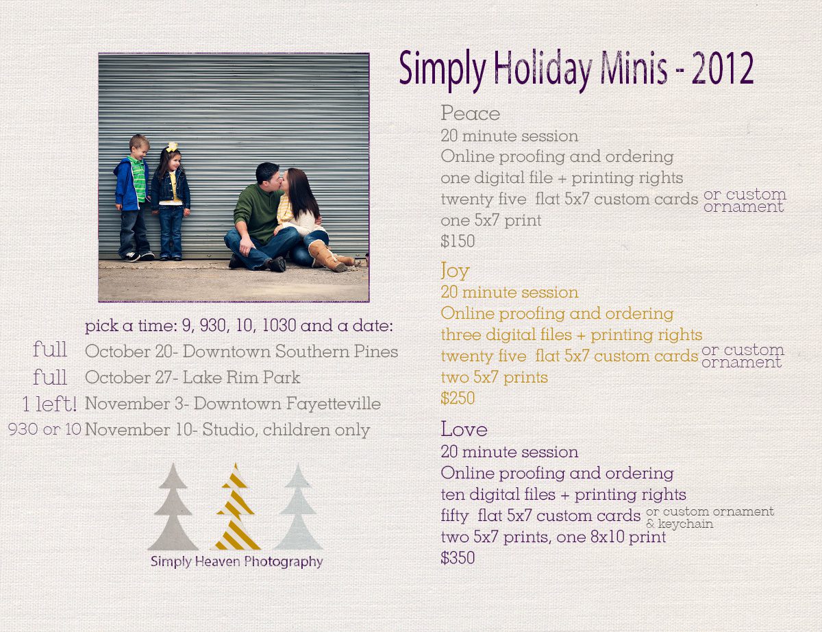 simply holiday minis 3