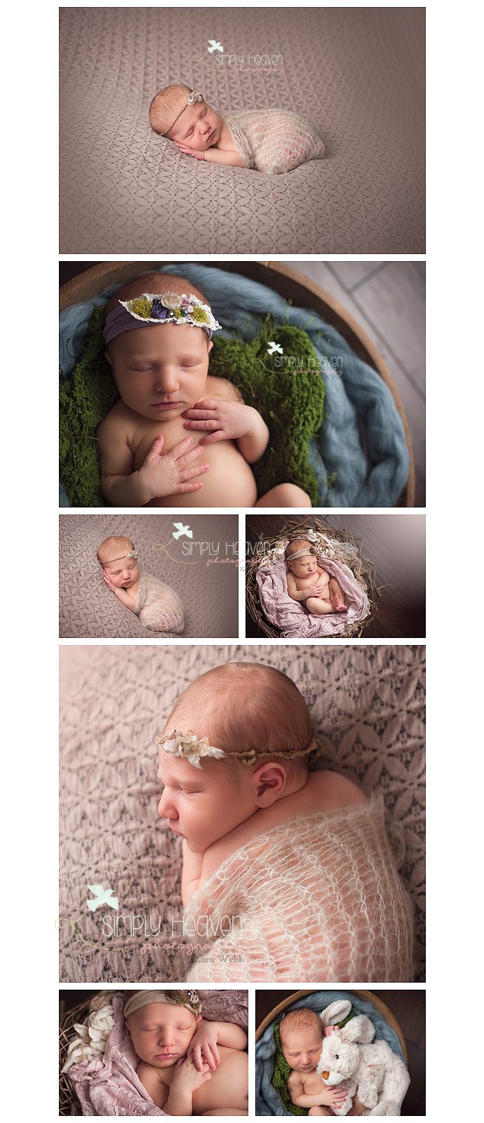 fayetteville newborn photographer