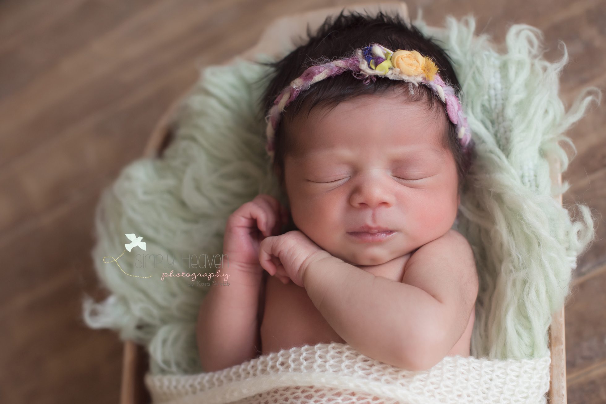 fayetteville newborn pictures