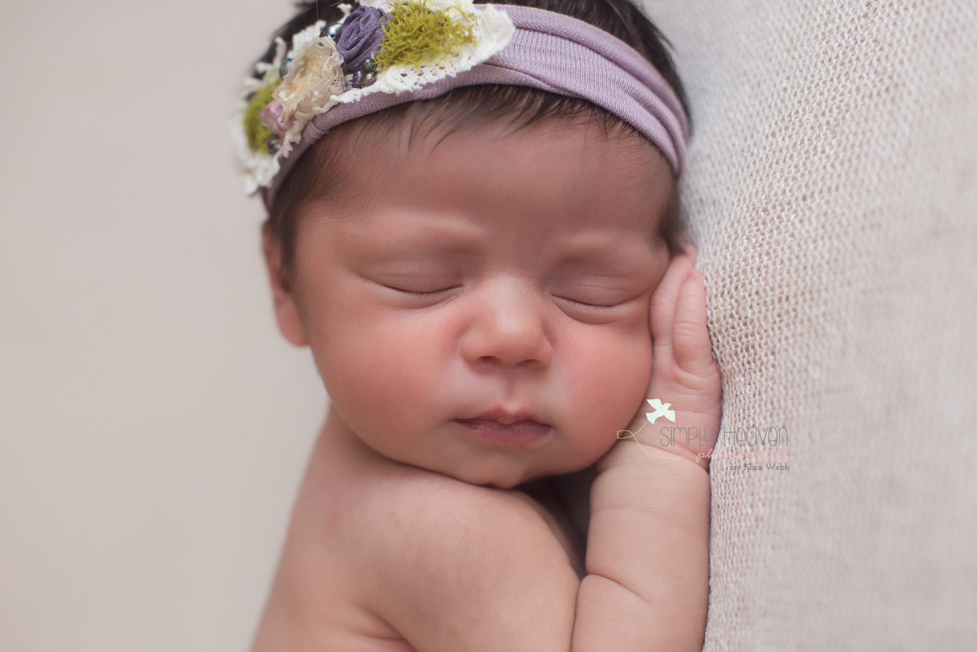 fayetteville newborn pictures