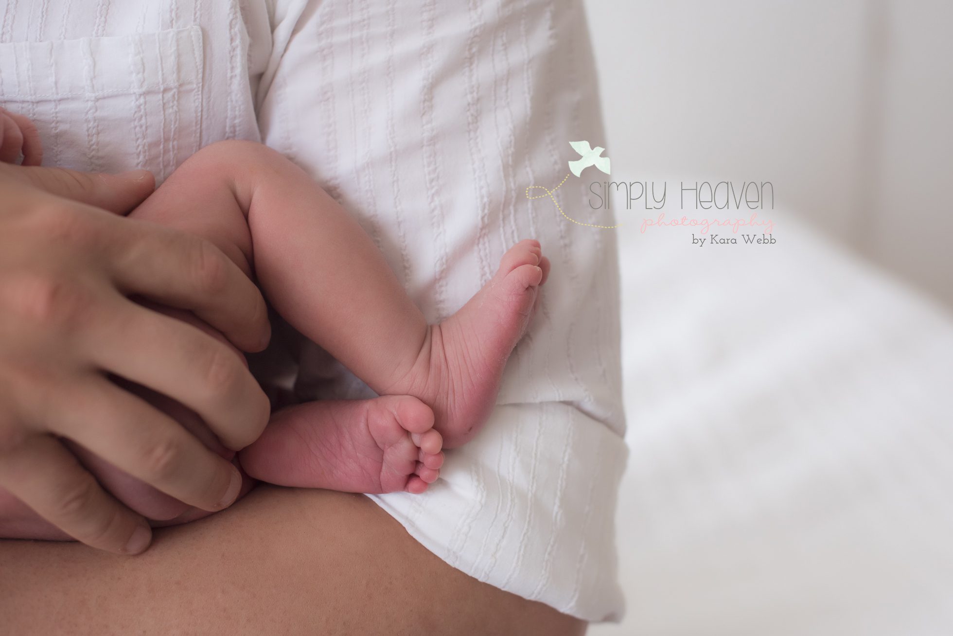fayetteville newborn pictures