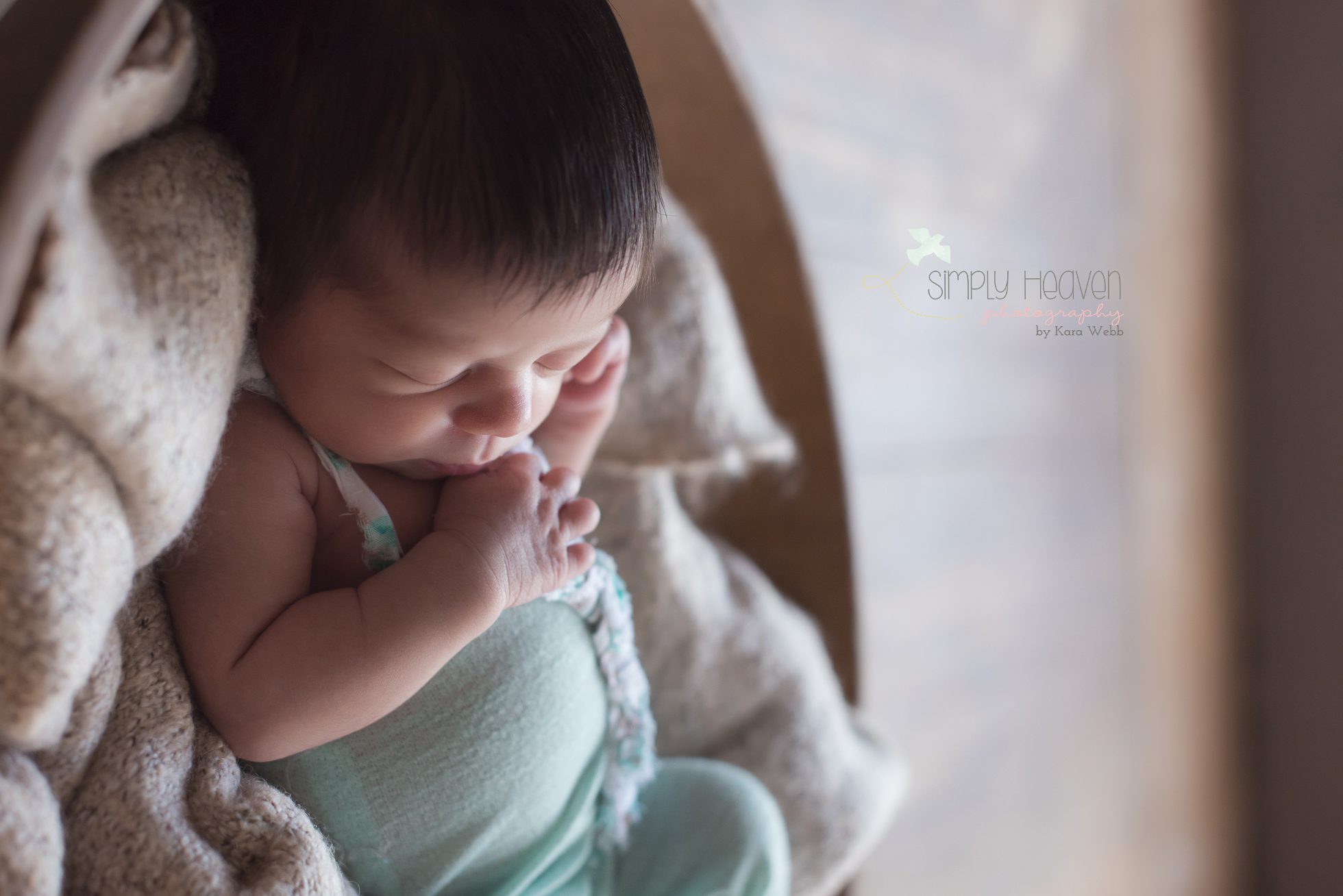 fayetteville newborn photographer