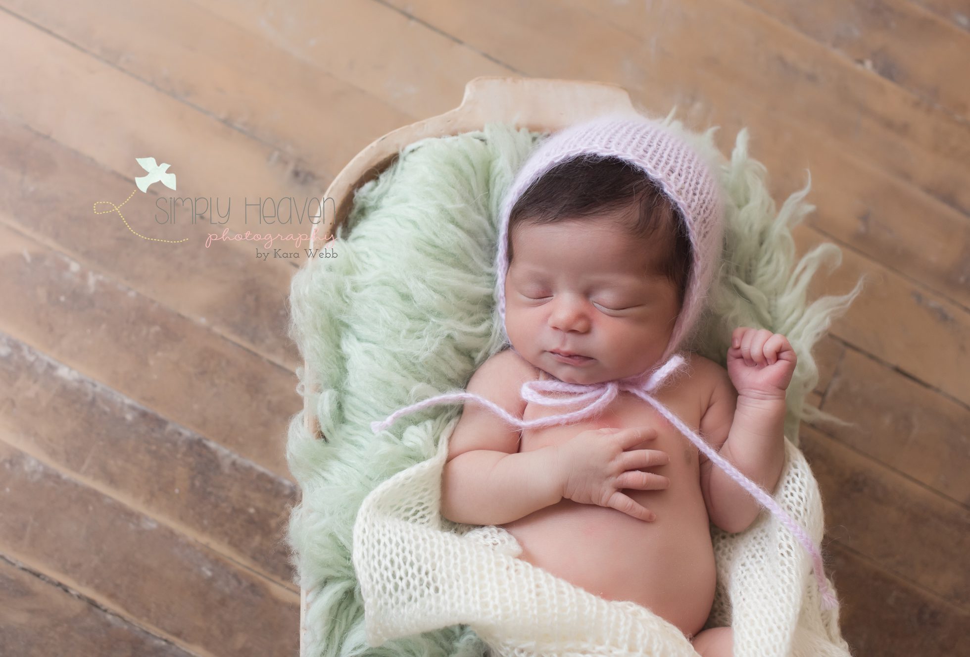 fayetteville newborn pictures