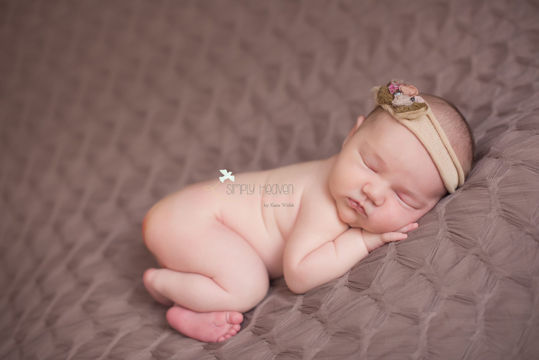 southern pines newborn photographer