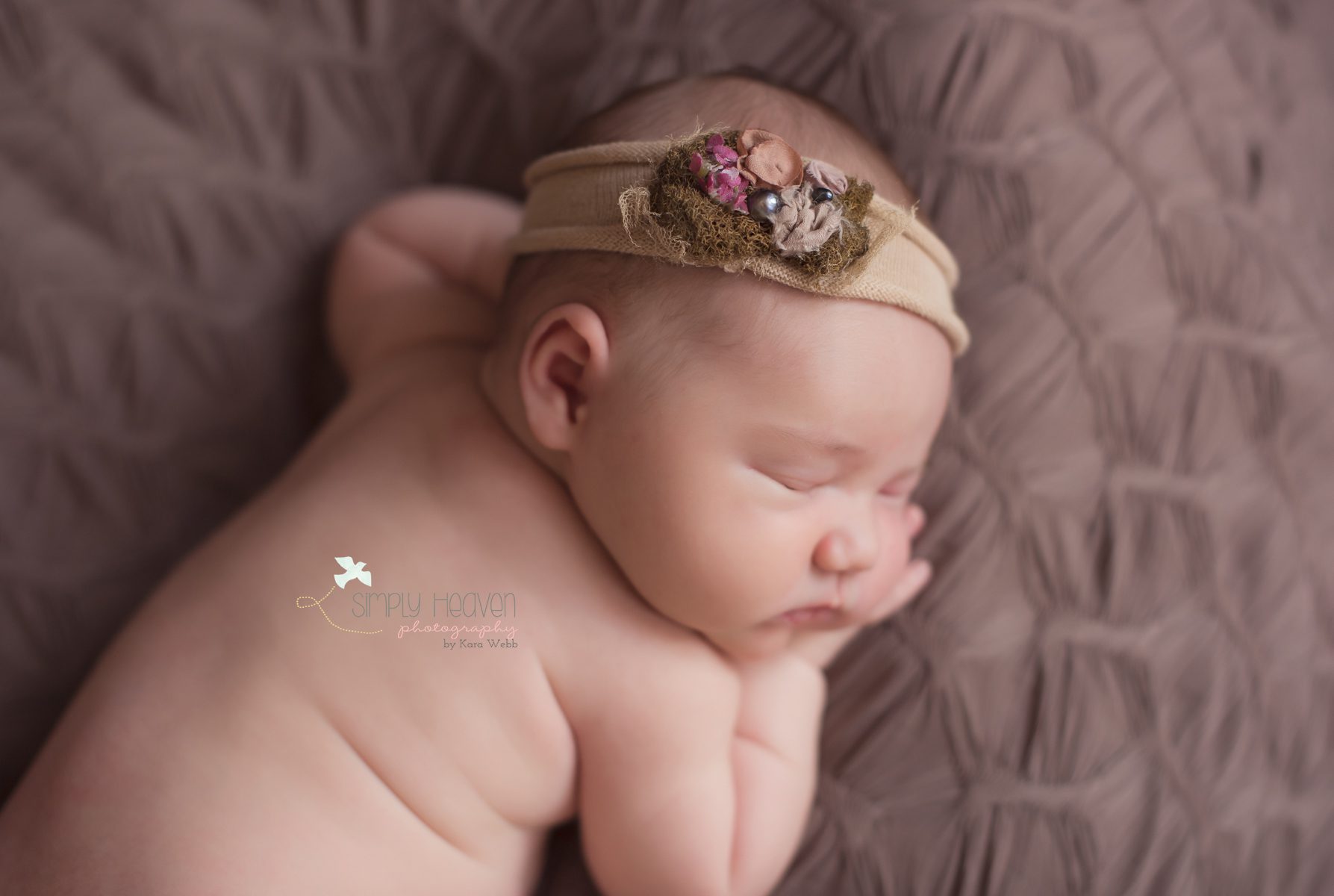 southern pines newborn photographer