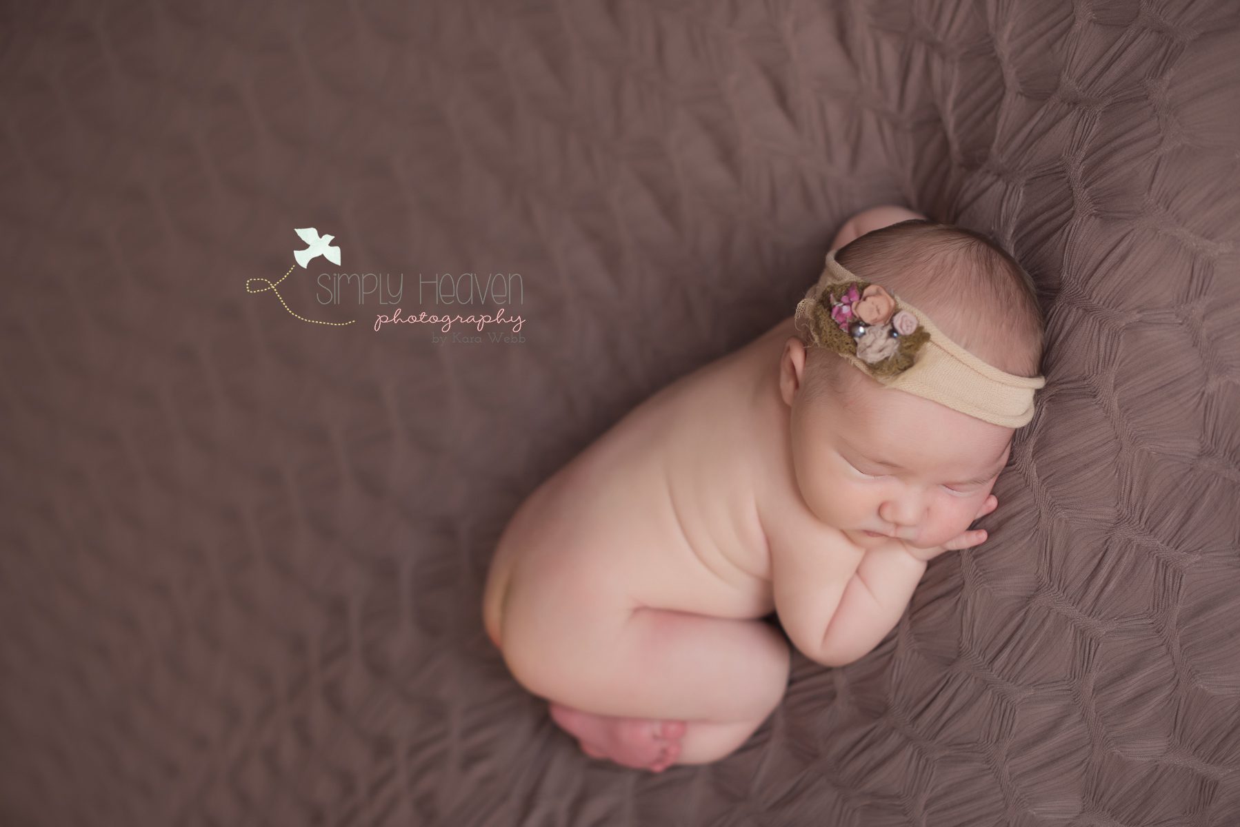 southern pines newborn photographer