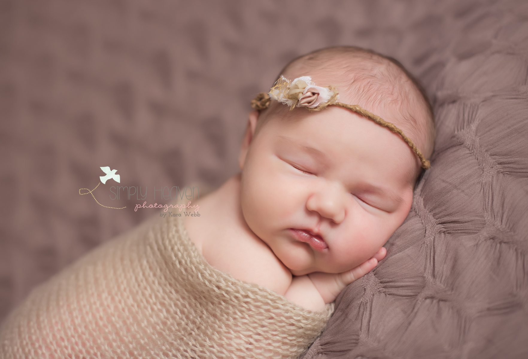 southern pines newborn photographer