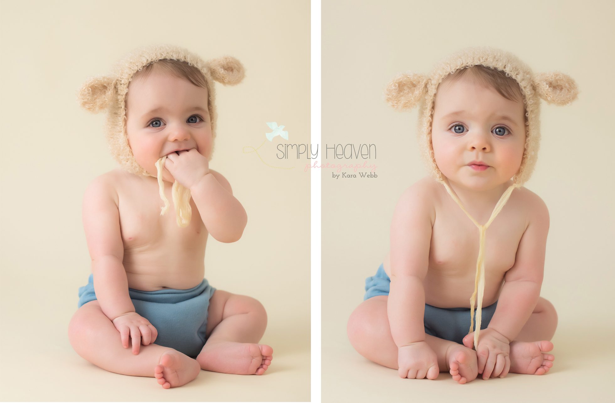 baby photos in fayetteville
