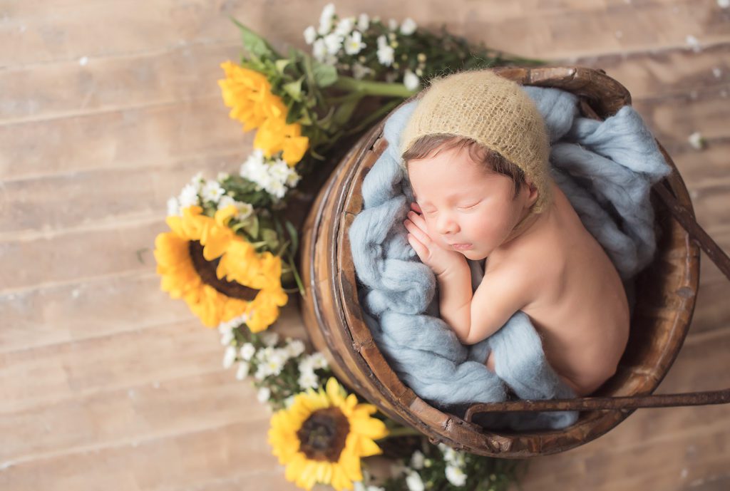 newborn baby boy in a bucket with sunflowers